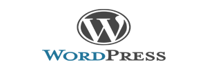 brand v3 6